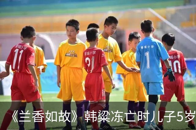 《兰香如故》韩粱冻亡时儿子5岁，林锦岐病亡时儿子13岁，袁绍辉至死无子。后代都没成长起来，但三家都没有没落，林家反倒更上一层楼
