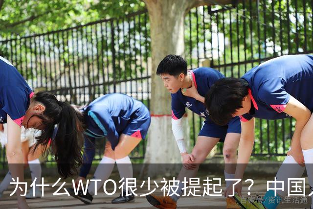 为什么WTO很少被提起了？中国入世谈判花了15年，如今几乎被架空
