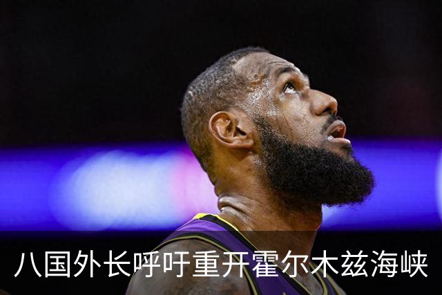 八国外长呼吁重开霍尔木兹海峡