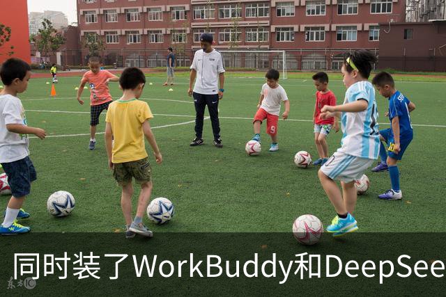 同时装了WorkBuddy和DeepSeek，试用5天之后，我卸载了其中一个