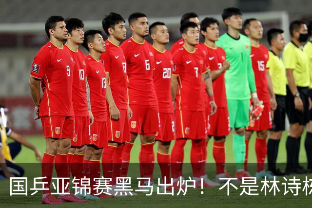 国乒亚锦赛黑马出炉！不是林诗栋，也不是温瑞博，而是19岁的他