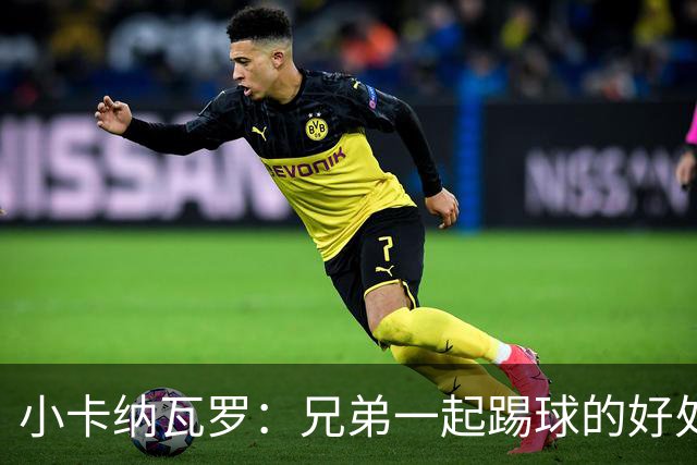 小卡纳瓦罗：兄弟一起踢球的好处？至少他不会因传球失误就骂你妈