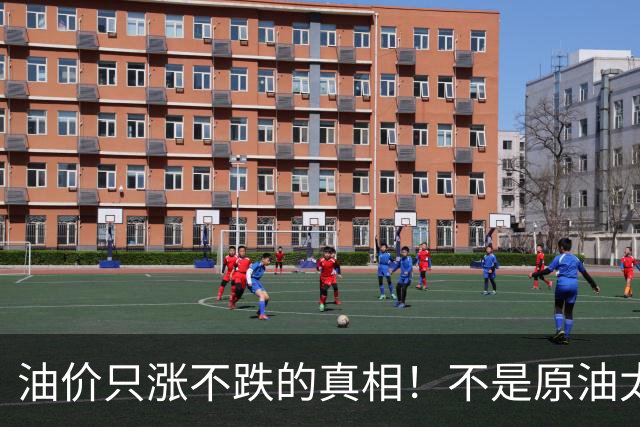 油价只涨不跌的真相！不是原油太贵，是几千万电车没人交养路费？