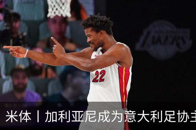 米体丨加利亚尼成为意大利足协主席热门人选