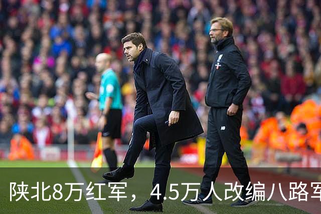 陕北8万红军，4.5万人改编八路军，另外3.5万人毛主席的安排真妙