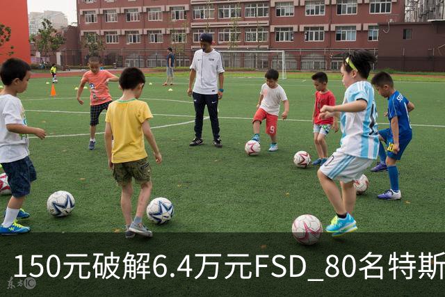 150元破解6.4万元FSD 80名特斯拉车主被移送检方