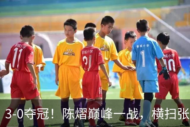 3-0夺冠！陈熠巅峰一战，横扫张本美和原因曝光，王励勤没看错她